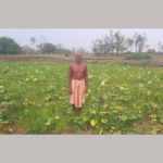 26.4.20- PHOTO VEGITABLE FARMER 20200408_085614