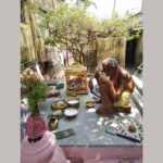 WhatsApp Image 2020-04-13 at 16.42.07