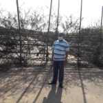 increase containtment zone’ (6)