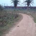 bila-hida rasta – Okal vatia rasta