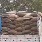 chaula bantileni thikadar