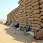 dhanamandi jagichanti chasi