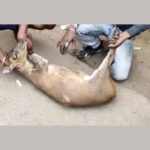 WhatsApp Image 2021-03-10 at 23.36.50 (2)