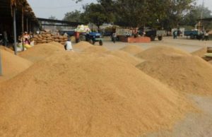 ଧାନ ସଂଗ୍ରହ ୨୫ ଲକ୍ଷ କ୍ୱିଂଟାଲ ଟପିଲା ତଥାପି ଥମୁନି ଚାଷୀ ଅସନ୍ତୋଷ, ଭଦ୍ରକ ଜିଲାରେ ସରକାରୀ ଧାନ ସଂଗ୍ରହ ୫ ଶହ କୋଟି ଟଙ୍କା ଟପିବ