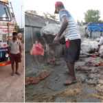 bhadrak – goru gadi jabat