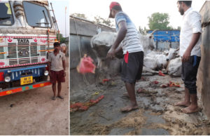 рмнрмжрнНрм░рмХ : рмЧрнНрм░рм╛рморм╛рмЮрнНрмЪрм│ рмкрнБрм▓рм┐рм╕рнН рмжрнНрн▒рм╛рм░рм╛ рмЧрнЛрм░рнБ рмЧрм╛рмбрм┐ рмЬрммрмд