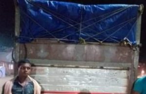 рмнрмгрнНрмбрм╛рм░рм┐рмкрнЛрмЦрм░рнА : рмЧрнЛрм░рнБрмЧрм╛рмбрм┐ рмЬрммрмд, рни рмЧрм┐рм░рмл