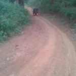 IMG-20210626-WA0068