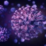 corona virus-2