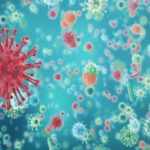 corona virus