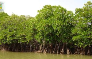 рм╣рнЗрмирнНрмдрм╛рм│ рммрмг рм▓рнЛрмк рмкрм╛рмЗрммрм╛ рмпрнЛрмЧрнБ рмЙрмкрмХрнВрм│рм░рнЗ рммрм┐рмкрмдрнНрмдрм┐ рммрмврнБрмЫрм┐, рм╢рнАрмдрм│ рмнрмгрнНрмбрм╛рм░рм░рнЗ рм╕рнБрмирм╛рморм┐ рмкрнНрм░рмХрм│рнНрмк