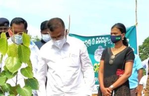 ରଣପୁର ବିଧାୟକ ଓ ଖୋର୍ଦ୍ଧା ବନଖଣ୍ଡ ଅଧିକାରିଣୀ ଙ୍କ ପ୍ରାକୃତିକ ଅମ୍ଲଜାନ ପାଇଁ ବୃକ୍ଷ ରୋପଣ