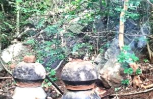 ରଣପୁର ଅଂଚଳ ରେ ବେଧଡକ୍ ଚାଲିଛି ଚୋରା ଦେଶୀ ମଦ ରନ୍ଧା