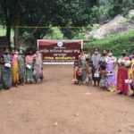 distributation of vegetable kit