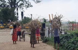 କଅଁଳ ମୁଣ୍ଡରେ ପରିବାର ବୋଝ; ଏମାନଙ୍କ କଥା ବୁଝିବ କିଏ!