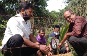 ବିଦ୍ୟାଳୟ ପକ୍ଷରୁ ଚାରାରୋପଣ