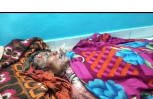 ଭାଲୁ ଆକ୍ରମଣରେ ବୃଦ୍ଧଙ୍କର ମୃତ୍ୟୁ