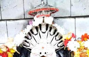 ରଣପୁର ମଣିନାଗ ପୀଠ ରେ ଚାଲିଛି ଶାରଦୀୟ ସପ୍ତଚଣ୍ଡୀ ପୂଜା