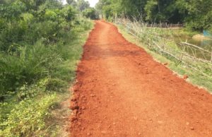 рмХрмкрм╛рм│рнА рмирмжрнАрммрмирнНрмз рмирм╛рм▓рм┐рммрм╛рмЯрм┐ рммрм┐рмЫрм╛рм░рнЗ рммрнНрнЯрм╛рмкрмХ рмжрнБрм░рнНрмирм┐рмдрнА рмЕрмнрм┐рмпрнЛрмЧ рмирнЗрмЗ рмЬрнЗрмЗ рмУ рмПрм╕рнНтАМрнЬрм┐рмУрмЩрнНрмХ рмХрмерм╛ рмдрм╛рм│рморнЗрм│ рм░рм╣рнБрмирм╛рм╣рм┐рмБ, рмШрмЯрмгрм╛ рмерм╛рмирм╛рм░рнЗ рмкрм╣рмВрмЪрм┐рм▓рм╛