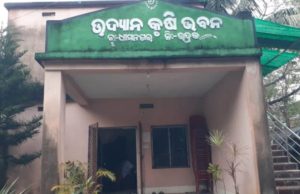 ସରକାରୀ ଆଳୁ ବିହନ ଏବେ ବେସରକାରୀ ଦୋକାନରେ