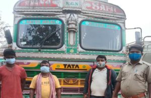 ଗୋରୁଗାଡି ସହ ୪୬ ଗୋରୁ ଜବତ