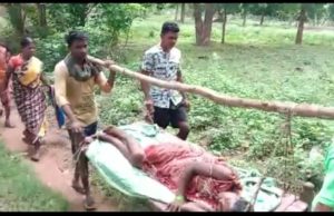 ଉପାନ୍ତ ଅଞ୍ଚଳର ବିକଳ ଚିତ୍ର : ଗର୍ଭବତୀଙ୍କୁ ଖଟିଆରେ ବୋହି ନଦୀ ପାର କଲେ ସଂପର୍କୀୟ