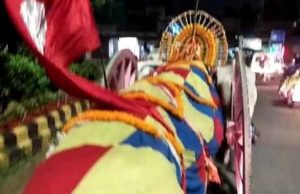 ମହାପ୍ରଭୁଙ୍କ ସେନାପଟା ଲାଗି ପାଇଁ ପୁରୀ ରେ ପହଁଚିଲା ବଉଳ କାଠ