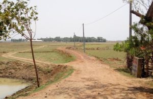 ଅବହେଳିତ ନଳଗୋହିରା ପଂଚାୟତର ନୂଆଗାଁ, ୩ଶହ ଲୋକଙ୍କ ପାଇଁ ୧ ନଳକୂପ, ଆଜି ଭଳି ଦିନରେ ଗ୍ରାମକୁ ସବୁଦିନିଆ ରାସ୍ତା ନାହିଁ