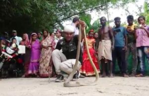 ଭଣ୍ଡାରିପୋଖରୀରୁ ନାଗ ନାଗୁଣୀ ଉଦ୍ଧାର