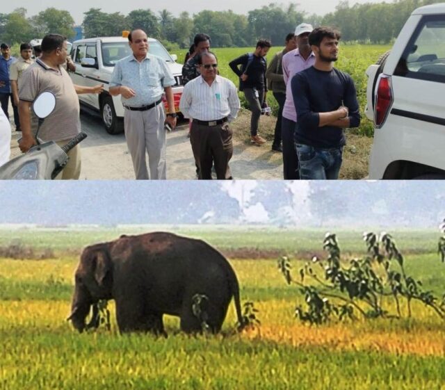 bhandaripokhari re jangali hati