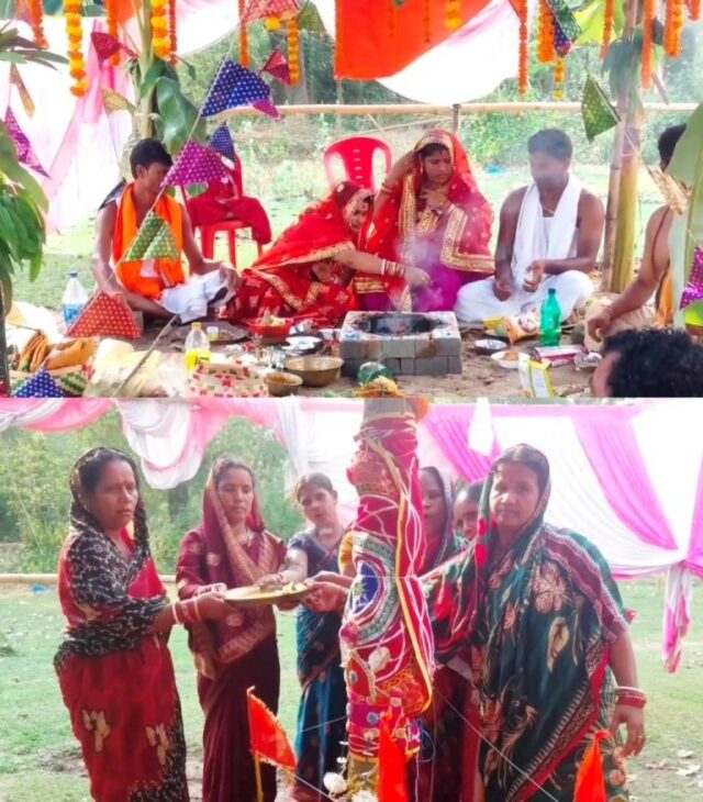 BARA & OSTA GACHA BIBAHA