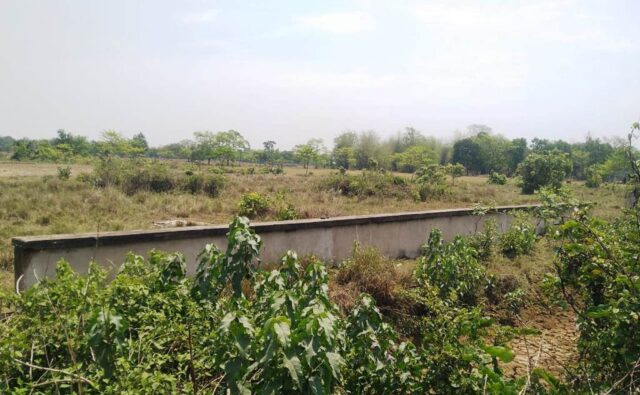 BONTH BLOCK MINI STADIUM NEWS