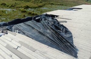 ଚାନ୍ଦବାଲିରେ କାଳବୈଶାଖୀର ତାଣ୍ଡବ, କୁକୁଡ଼ା ଫାର୍ମର ଆଜବେଷ୍ଟସ ସହିତ ବିଭିନ୍ନ ସ୍ଥାନରେ ଗଛ ଭାଙ୍ଗି ଥିବା ଦେଖିବାକୁ ମିଳିଛି