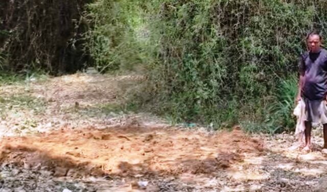 MASANIRU SABA CHORI ABHIJOG