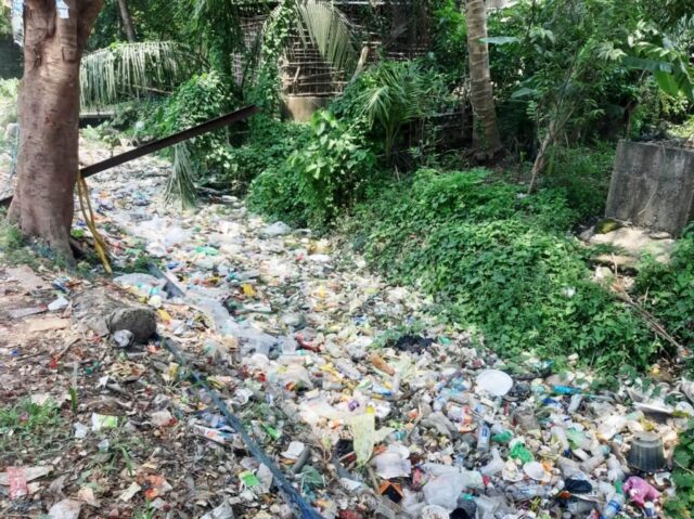 ARADI PITAH PRABESH PITHA NALA