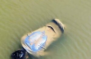 ଧାମରାରେ ଶ୍ରମିକଙ୍କ ଶବ ଉଦ୍ଧାର