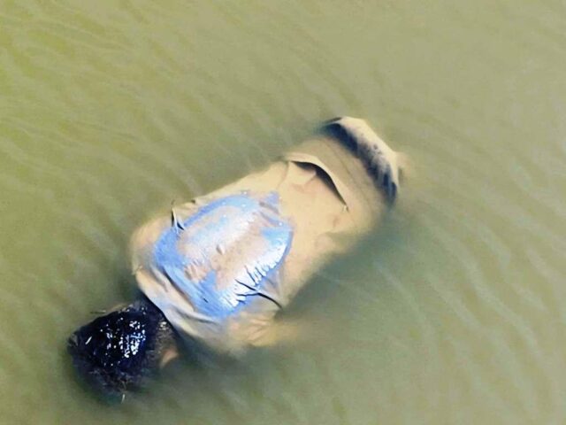 DHAMARA RE SRAMIKANKA SABA UDHAR