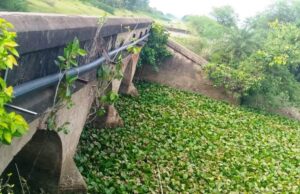 рмкрм░рнНрммрмдрнА рм╕рм╛рмЗ рмлрми рм╕рмлрм╛ рм╣рнЗрмЙрмирм┐