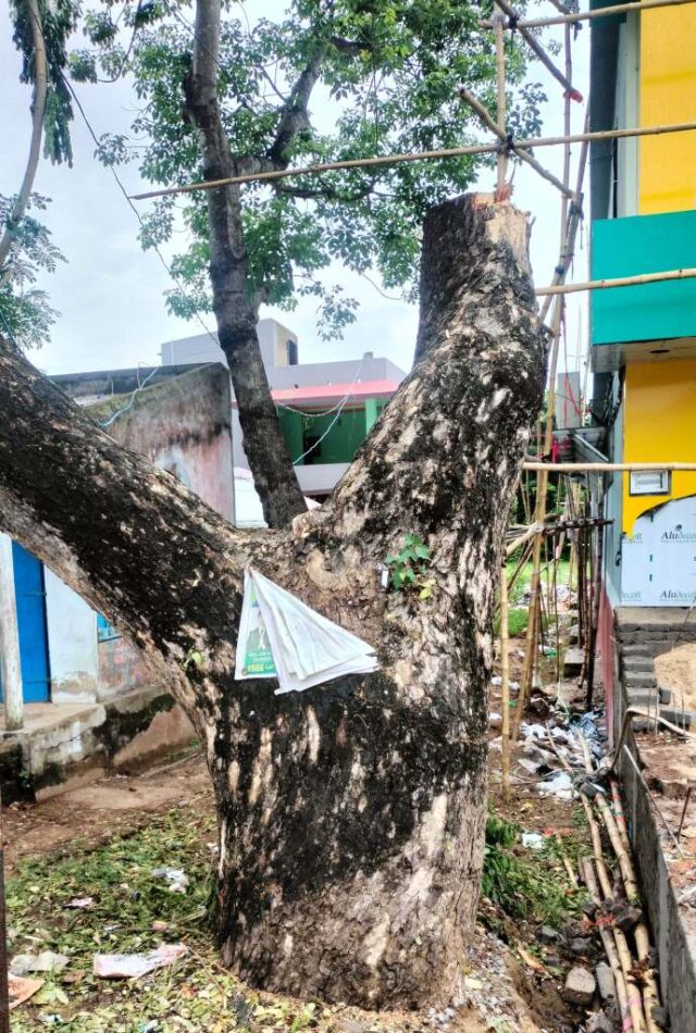 RASTA KADA GACHARA BIRAT BAHU KATI NELE