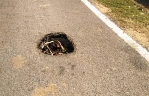 ରାସ୍ତା ମଝିରେ ଗର୍ତ, ଦବିଲାଣି ରେବ ନଦୀ ପୋଲ ର ଦୁଇ ମୁଣ୍ଡ , ଯାତାୟାତ ହେଲାଣି ଅସମ୍ଭବ