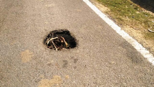 RASTA MAJHIRE GARTA PHOTO