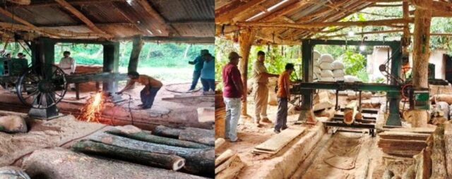 SAW MILL CHADHAU NEWS