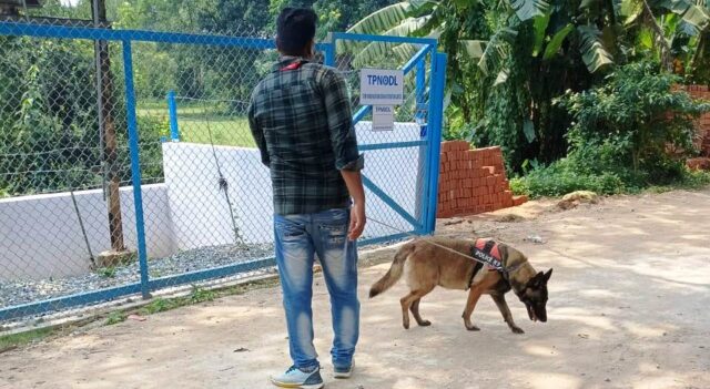 GHARE KALAKANA BULAILE CHORA