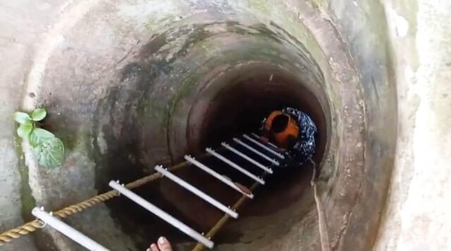 KUA RE PADI JUBAKARA MRYUTU