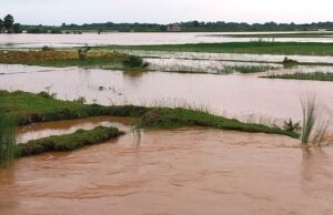 ବୈତରଣୀ ନଦୀର ବନ୍ୟାପାଣି ନିଷ୍କାସନରେ ବାଧକ ସାଜିଛି ପୂର୍ଣ୍ଣିମା ଜୁଆର, ୪ଦିନ ହେଲା ତଳିଆ ଅଂଚଳ ଶହଶହ ଏକର କ୍ଷେତରେ ଲହଡି ଭାଙ୍ଗୁଛି ବନ୍ୟାପାଣି