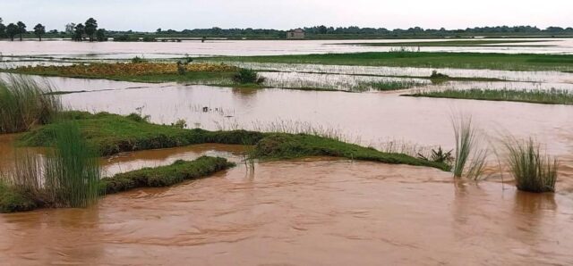 BAITARANI NADI BANYAPANI NISKASANA