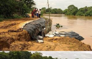 ବୈତରଣୀ ନଦୀର ବନ୍ୟା, କୋଚିଳା ନଦୀବନ୍ଧକୁ ବିପଦ, ପରିବା ଚାଷ ନଷ୍ଟ, ବର୍ଷାରେ ଜଳାର୍ଣ୍ଣବ ଧାମନଗର ଅଂଚଳ