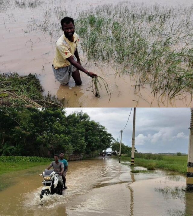 BAITARANI NADIRE BANYA JALA KAMUCHI -2