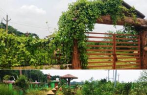 ସରକାରୀ ମାଲ ଦରିଆ ମେ ଡ଼ାଲ, ଉଦଘାଟନ ହେବାର ଦୁଇ ବର୍ଷ ହୋଇଗଲା, କାମରେ ଲାଗୁନି ଧାମନଗରର ରାହା ପିତା ପାର୍କ