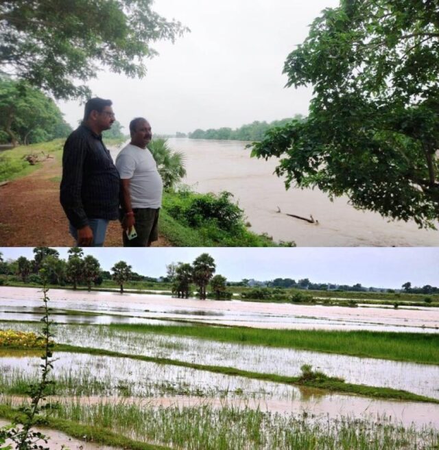 KAMUCHI BAITARANI, BADHUCHI SALANDI